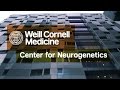 Center for Neurogenetics | Weill Cornell Medicine
