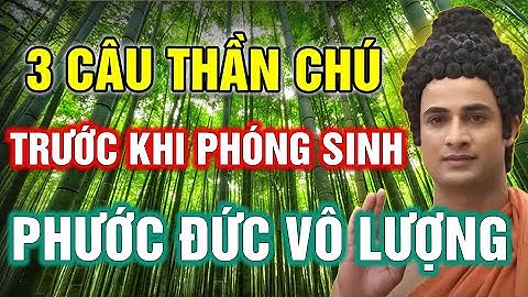 PHÓNG SINH NGÀY RẰM THÁNG 6| ĐỌC 3 CÂU NÀY TRƯỚC KHI THẢ, GIÚP KHAI MỞ TÂM TRÍ, CÔNG ĐỨC VÔ LƯỢNG.