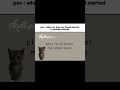 #cat #shortsfeed