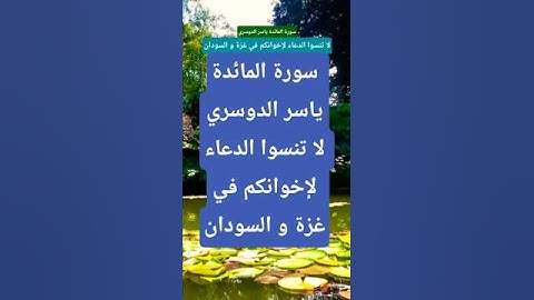 سورة المائدة ياسر الدوسري #المصحف #تيك_توك #راحة_نفسية #لايك #قران_كريم #حالات_واتس #ترند  #اكسبلور
