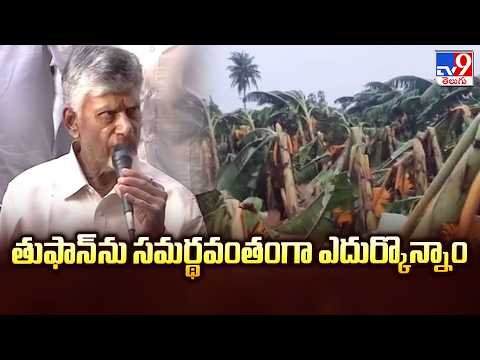 తుఫాన్‌ను సమర్థవంతంగా ఎదుర్కొన్నాం : CM Chandrababu - TV9 - TV9