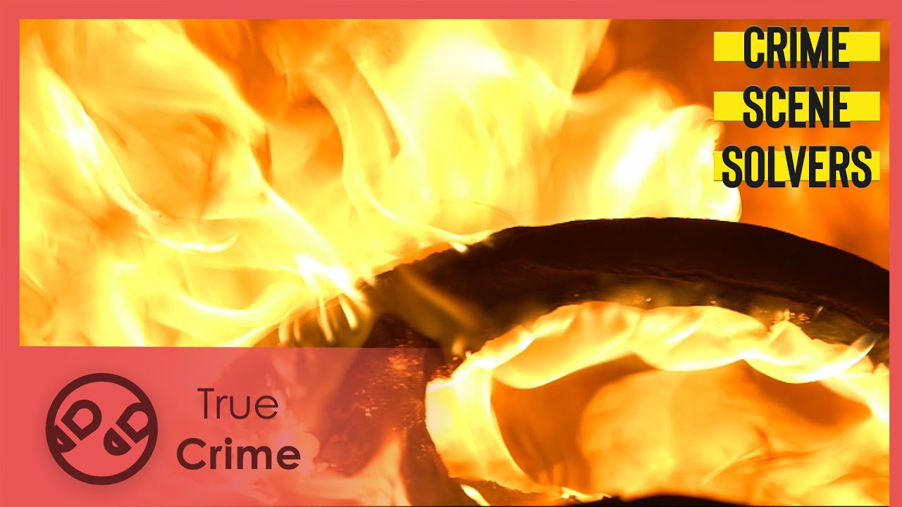 Film backdrop image for The Strange Farm: The Anaïs Guillaume Affair | Crime Scene Solvers 610 (2024)