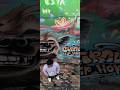 Lofi Bogotá con VeFrank ##shorts