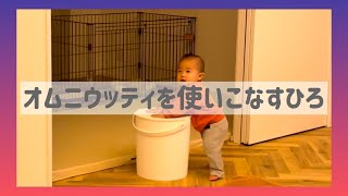 【10ヶ月男の子】オムニウッティを使いこなすひろ