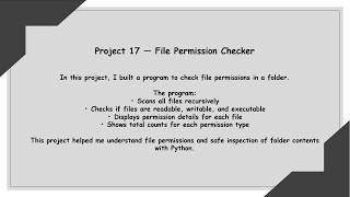File Permission Checker | Python File Automation (Project 17)