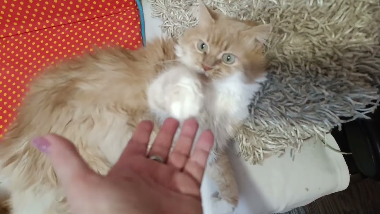 Домашняя подборка.