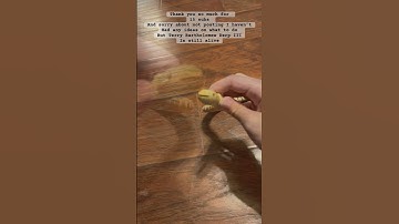 I’ve been so busy with school and homework I haven’t had time to think of anything to do TERRYS BACK