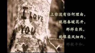 爱你不说   喜欢的歌静静地听，喜欢的人远远地看。（谨以此献给那些爱过我们和我们爱的人）