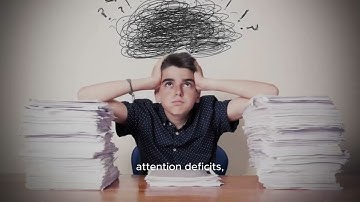 how information overload destroys your brain