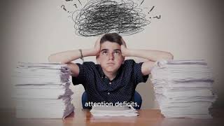 how information overload destroys your brain