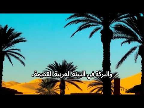 فضل شهر ربيع الثاني