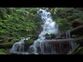 Waterfalls of the Pacific Northwest 4k NatureVisionTV