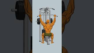 The Bro Split Is DEAD