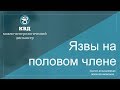 373  Язвы на половом члене