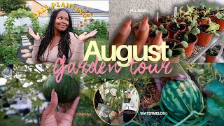 Updated TOUR of my Whimsical Garden 🧚🏽 | Pumpkins | Watermelons | starting FALL SEEDS | Fruit trees screenshot 4