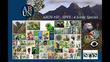 ABUN #50 - SPVS : 4 Iconic Species 1080p