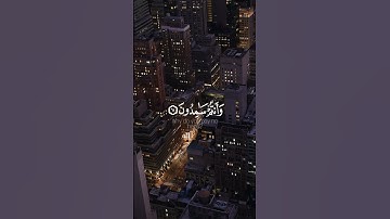 سورة النجم تلاوة تريح القلب
