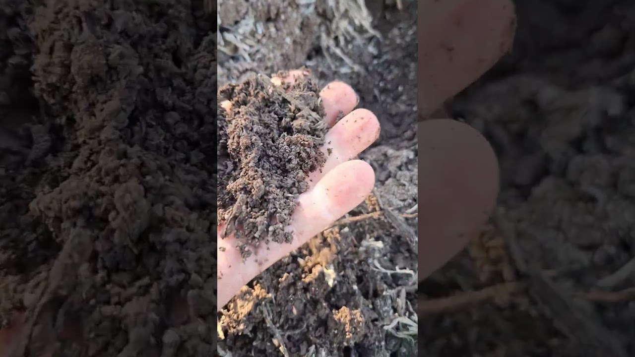 The problem becomes the solution in permaculture