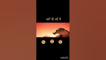 اني جزيتهم اليوم #إسلام_صبحي #تلاوة_خاشعة #تلاوة_هادئة #خواتيم_سورة_المؤمنون #قرآن_كريم #اكسبلور