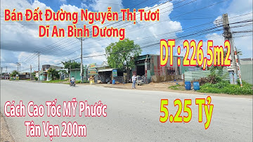 Bán Đất Đường Nguyễn Thị Tươi, Tân Bình Dĩ An, Mặt Tiền Kinh Sầm Uất