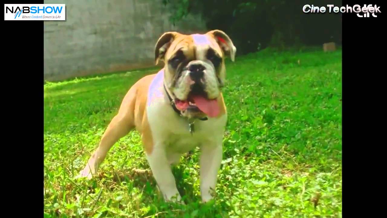 CinemaCon 2015, Digital Film Technologies WetGate Film Scanner