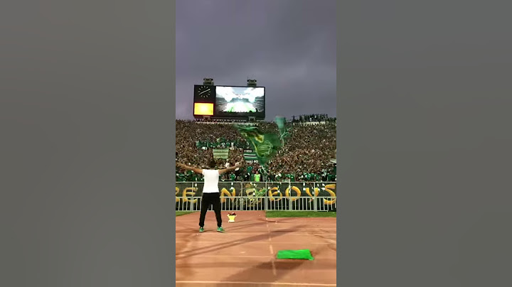المغرب كامل تفاجا و سبابو الراجا 💚 ديما راجا و الله يعلي الدرجة💚💚