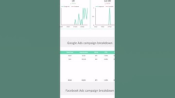 Paid Ads​ Looker Studio template using Windsor.ai connector #lookerstudio #windsorai
