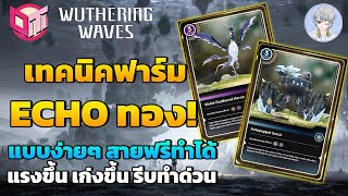 Wuthering Waves - เทคนิคหา Echo ระดับ 5 ดาว สีทอง แบบง่ายๆ สายฟรีทำได้สบาย ทำก่อนได้ก่อน