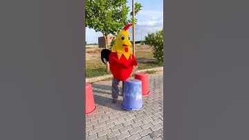 rooster 🐓🐔 funny 🤣