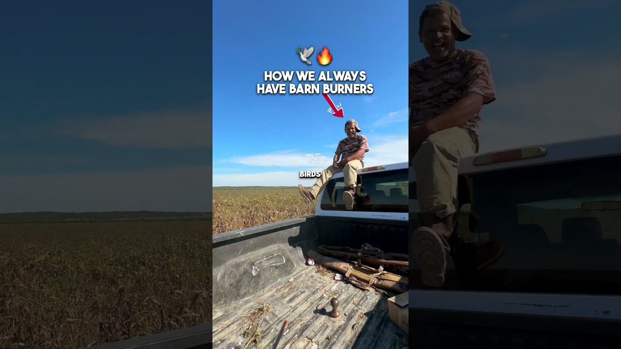 HOW WE FIND BEST DOVE LOCATIONS IN THE WORLD