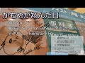 【亜咲花】かもめが翔んだ日【歌唱動画】