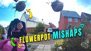 Guy Walked Into His Hanging Flowerpot