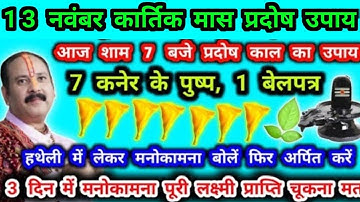 13 नवंबर कार्तिक मास प्रदोष आज शाम शमी 7 कनेर के फूल 1 बेलपत्र का उपाय  प्रदोष लक्ष्मी प्राप्ति उपाय