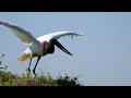 Microserie &quot;El río Bermejo&quot; - Cap. 4 de 6: &quot;Las Alas del Bermejo&quot;