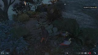 Star Wars Outlaws - Witch's Finger: Hidden Riches Location