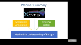 XCMS Basics with a Touch of the Complex