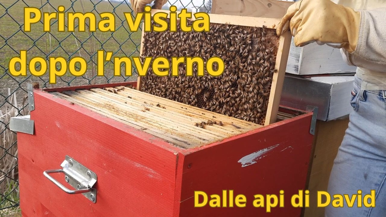 Prima visita dopo l'inverno, stringiamo la famiglia per concentrare il calore!!!
