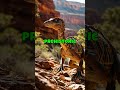 What dinosaurs roamed the Grand Canyon
