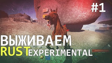 Rust Experimental Выживание #1