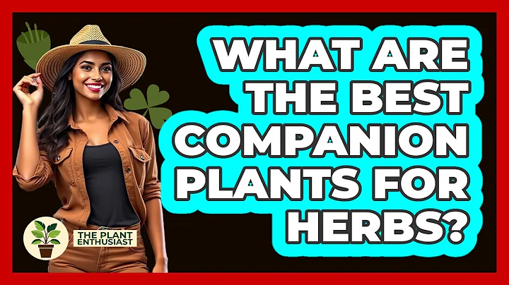 What Are The Best Companion Plants For Herbs? - The Plant Enthusiast