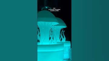 This is THE BEST finds ever 😍🤩 #temu