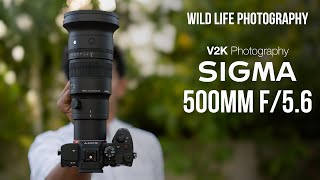 New Wildlife, sports, Bird photography lens from SIGMA 500mm f5.6 DG DN OS | தமிழ்