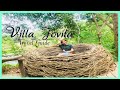 WHERE TO GO IN BATANGAS? TRY VILLA JOVITA - BALI IN BATANGAS!!!! (SIMPLE TOUR)