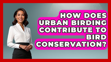 How Does Urban Birding Contribute to Bird Conservation? | Bird Watching Diaries