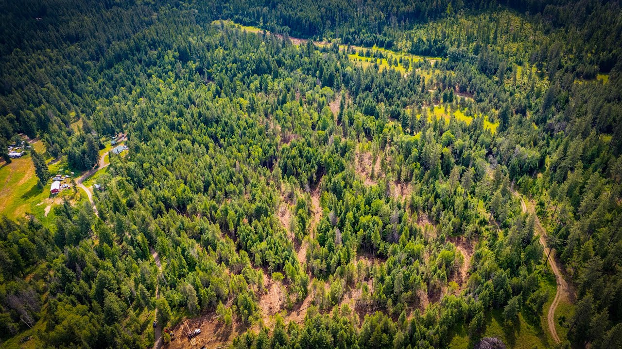 NKA Avalon Way, Sagle, ID 83860