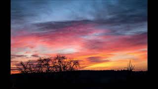 Seas of Years - Harbour