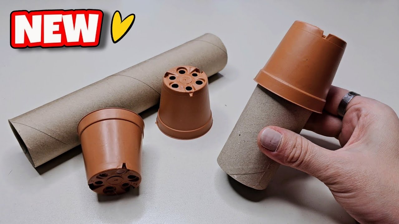 Cardboard Flower Pots So Beautiful! 🥰 Great Idea Made With Tiny Flower Pot And Cardboard Roll ...