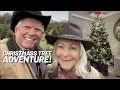 Christmas Tree Hunt at Naughty Pine: A Family Adventure 🎄 [EP. 5]