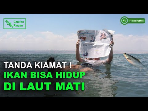 Video: Adakah sesuatu yang boleh hidup di laut mati?