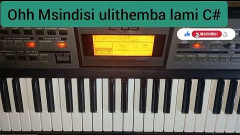 Song Tutorial-Msindisi ulithemba lami C#